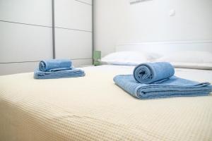 Villa Macanovi dvori with private pool