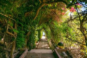 Villa Ondina 1 Carloforte img27