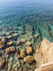 Wunderschöne Wohnung in Jugendstilvilla am Hafen