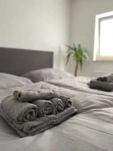 Schöne Wohnung nähe Stadt Zentrum und HBF - Хан