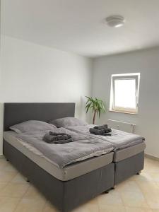 Schöne Wohnung nähe Stadt Zentrum und HBF