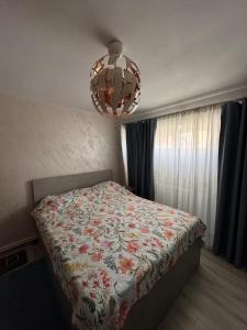 Apartament Alexe
