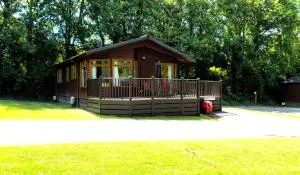 Rustic Fawn Lodge with Hot Tub for 4 - Resort Spa in Devon - 牛顿阿伯特