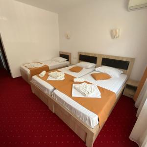 Triple Room room in Pensiunea Ewe