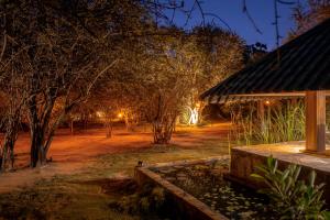 Leopard Reach Yala by Seven Angels