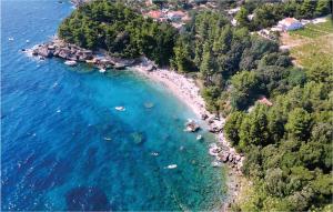 Apartment Ston With Sea View Iv