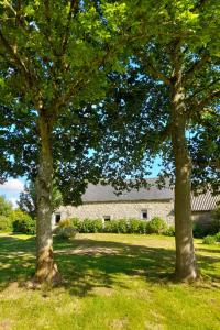Maisons de vacances Maison au calme en pleine nature a Bourbriac : photos des chambres