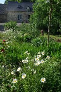 Maisons de vacances Maison au calme en pleine nature a Bourbriac : photos des chambres