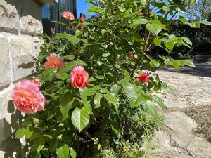 Villas Villa Coustellet avec vue sur le Luberon : photos des chambres