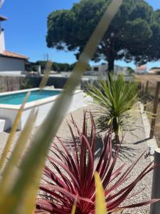 Meco Lodge Private Pool Full of Grace