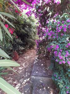 Charmant T2 CLIMATISE, avec jardins et parking privé