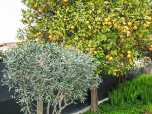 Villas Villa Mont des oiseaux by Interhome : photos des chambres