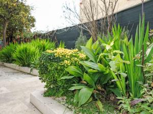 Villas Villa Mont des oiseaux by Interhome : photos des chambres