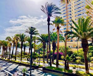 Palm Avenue - Adults Only -