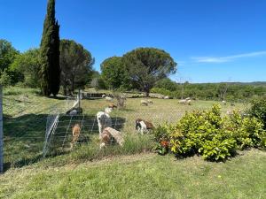 Sejours chez l'habitant Villa Raphael : photos des chambres