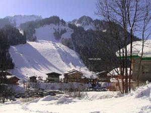 Appartement cosy, 5 pers., balcon sud, à 200m des remontées du Linga, Châtel - FR-1-676-159