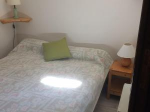 Appartement 2 pièces pour 5 pers, Châtel, balcon, proche centre - FR-1-676-116