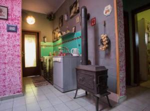 Apartment Dario Šolta