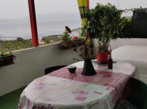 Apartment Dario Šolta