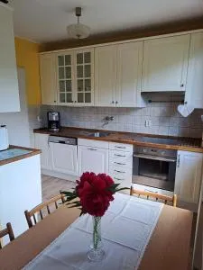 Apartmán pod Javořicí - Jilem