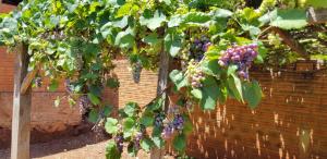 Apartamento Linda Hohenau Centro