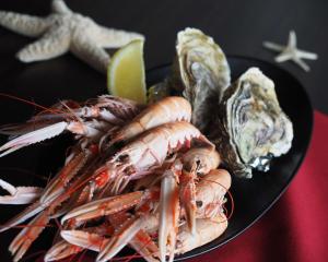 Brit Hôtel De Locéan