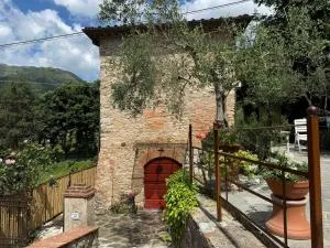 Lilla home Francigena - Nocchi