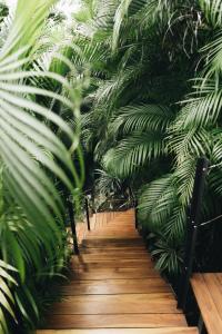 Mint Santa Teresa - Adults only