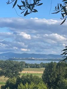 Private Stone Cottage with Starlink & Lake View