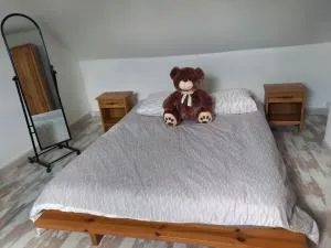 Chambre spacieuse - Duneau