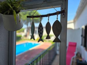 Cosy apartment of lEscala Beach