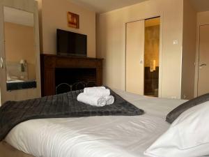 Hotels Brit Hotel Du Dauphin L'Aigle : photos des chambres