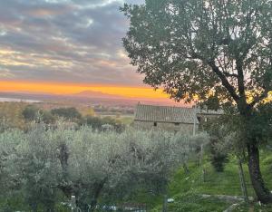 Private Stone Cottage with Starlink & Lake View