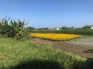 Ketewel Bed & Breakfast Niti Room