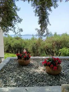 Lemon Tree House - Katávolos