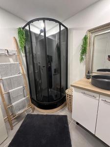 Appartements Appartement Cosy Loft : photos des chambres