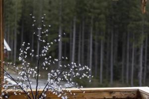 Nationalpark Chalet Hoher Sonnblick