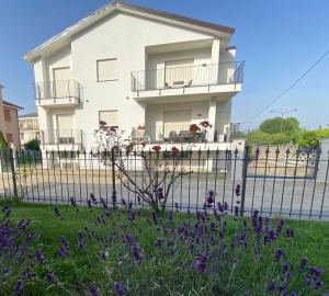 Ca’ del Riccio verde