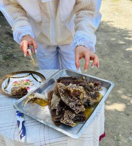 Holiday house in nature