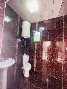 Holiday house in nature