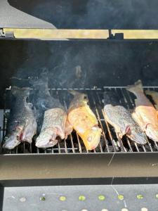 Holiday house in nature