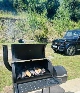 Holiday house in nature