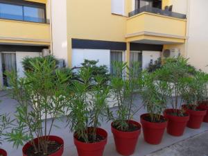 Hotels The Originals City, Hotel Cap Maya, Cap d'Agde : photos des chambres
