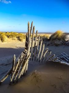 Villas Le Touquet - Villa de vacances proche plage : photos des chambres