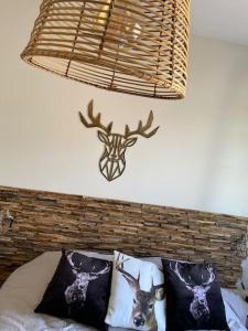 Villas Le Touquet - Villa de vacances proche plage : photos des chambres