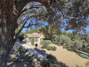 Villas Villa des Oliviers : photos des chambres