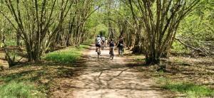 Residenza La Ruota Geranio