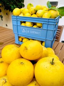 Casa dei Limoni
