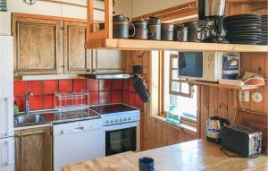 Lovely Home In Lofsdalen With Kitchen