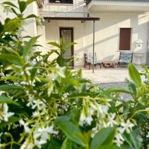 il Vicolo - 圣安布罗焦迪托里诺